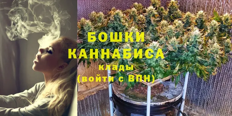 МАРИХУАНА план  Верещагино 